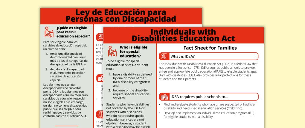 What is IDEA?