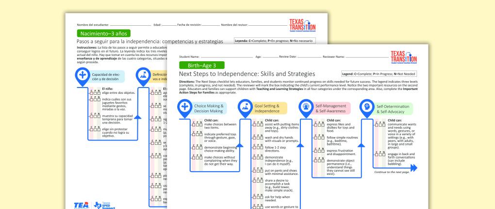 Next Steps to Independence: Skills and Strategies