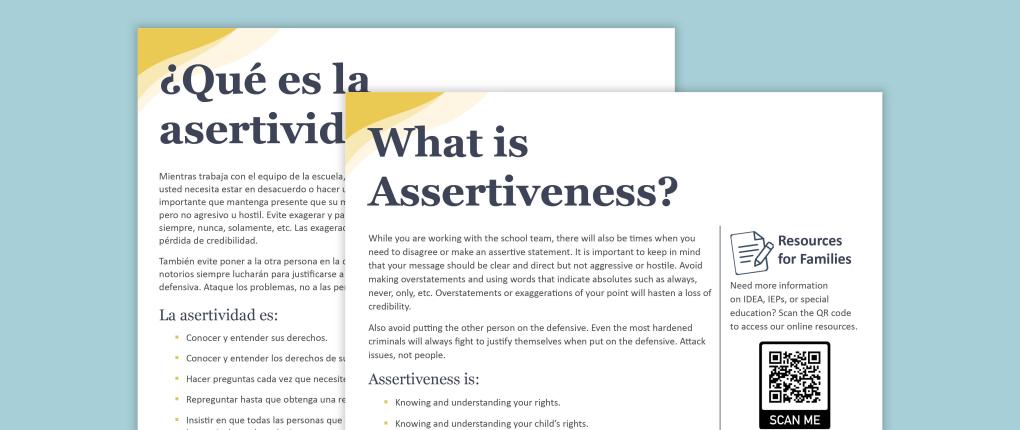 What is Assertiveness?