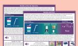 Parent Literacy Brochure for Students with Visual Impairments- Braille and Print