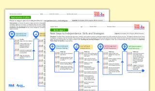 Next Steps to Independence: Skills and Strategies