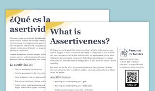 What is Assertiveness?