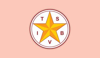 Texas School for the Blind and Visually Impaired